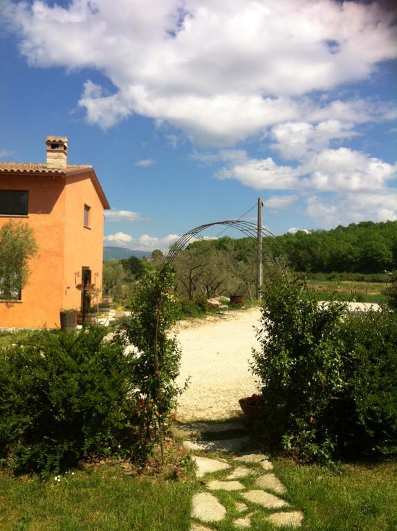 Вилла Fattoria Del Quondam Giano dell'Umbria Экстерьер фото