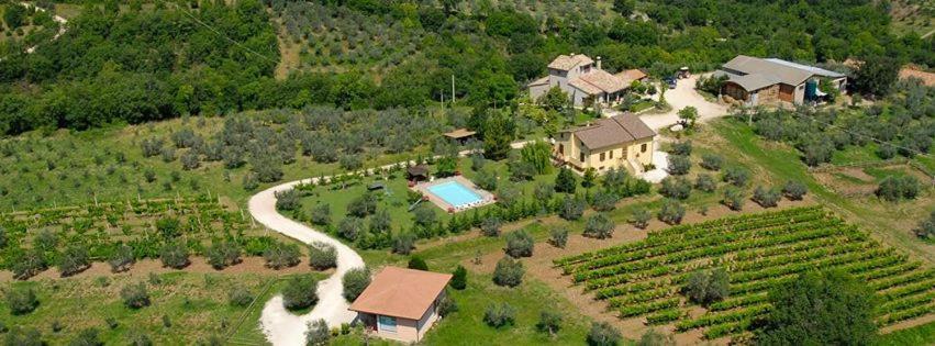 Вилла Fattoria Del Quondam Giano dell'Umbria Экстерьер фото